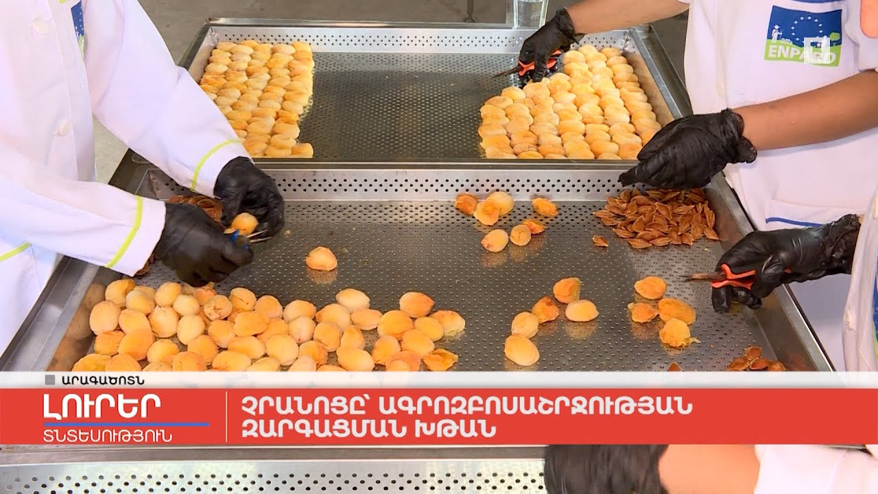 Փոքր և միջին բիզնեսին հարկերից ազատելը՝ տնտեսության զարգացման խթան է, թե՞ պոպուլիզմ։ Թաթուլ Մանասերյանի վերլուծությունը