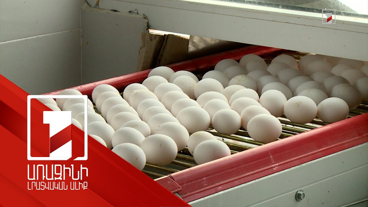 Բիզնեսի ոլորտում ապահովագրական ծառայությունների շուկան Հայաստանում աճում է